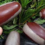 Complete Guide to Shiva Lingham Stone